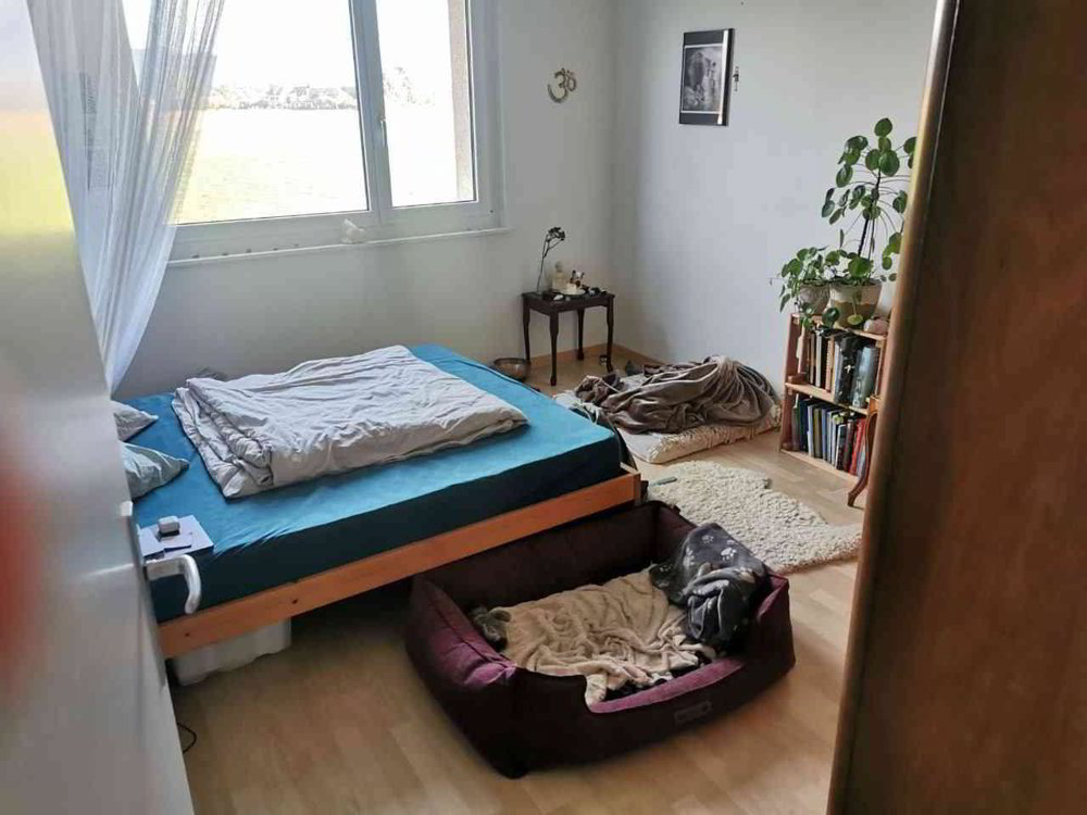 Appartamento di 4 locali in affitto a Münchenbuchsee - immagine 1/11
