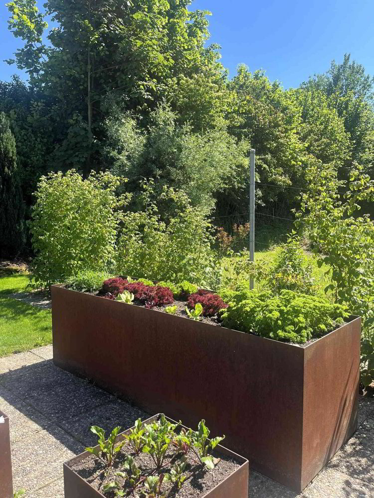 5.5 rooms Apartment for rent in Ebikon - image 1/13