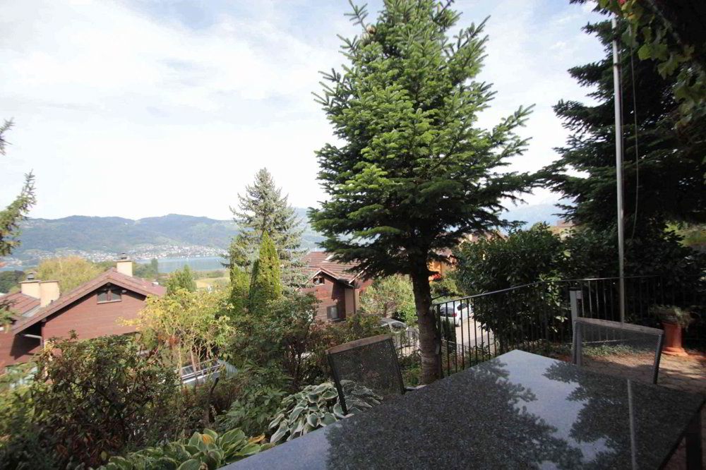 Haus – Zwieselberg, Allmend - Ansicht 2