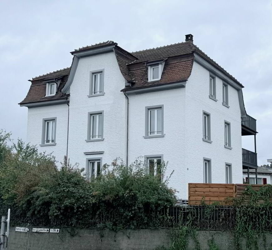Haus – Schönenwerd - Ansicht 3