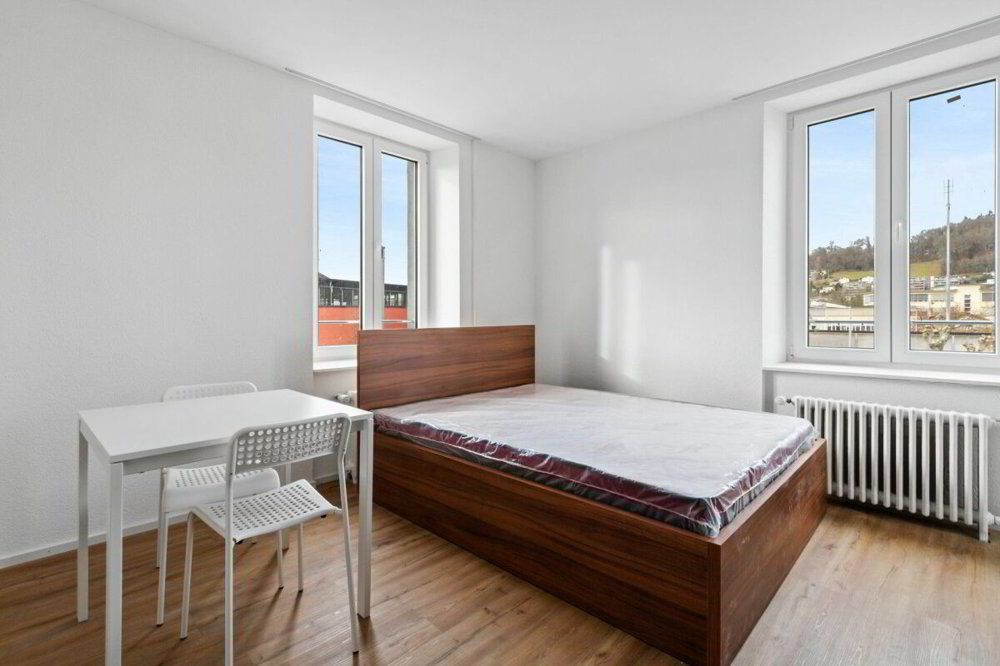 Haus – Schönenwerd - Ansicht 4