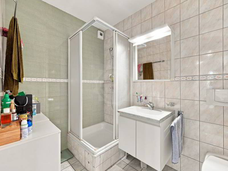 6 rooms Apartment for rent in Le Grand-Saconnex - image 1/12