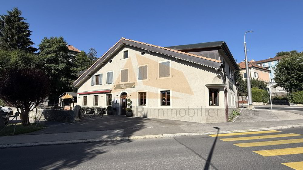 A VENDRE TRÈS BEL IMMEUBLE MIXTE - Ansicht 2