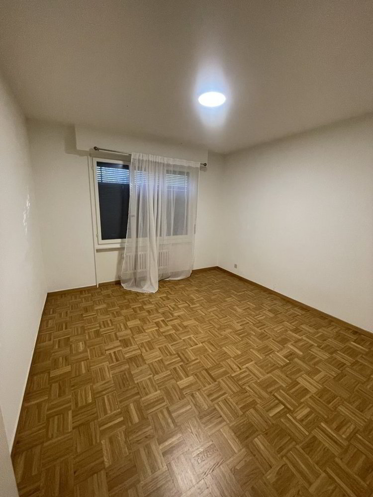 Appartamento di 2 locali in affitto a Lausanne - immagine 1/4