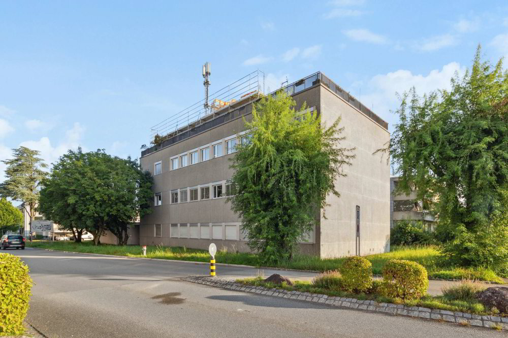 Commercial to rent in Fällanden - Ansicht 2