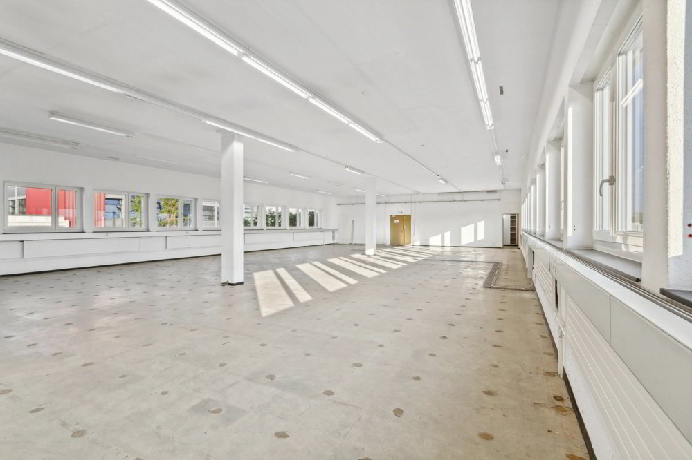 Commercial to rent in Fällanden - Ansicht 4
