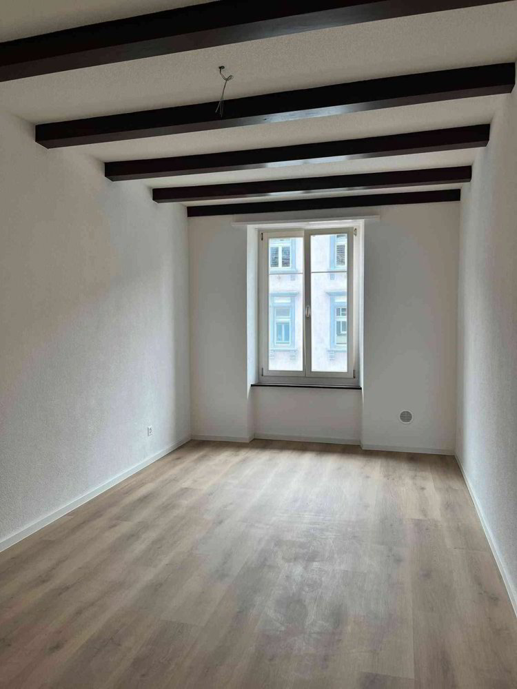 Wohnung – Frick - Mehr