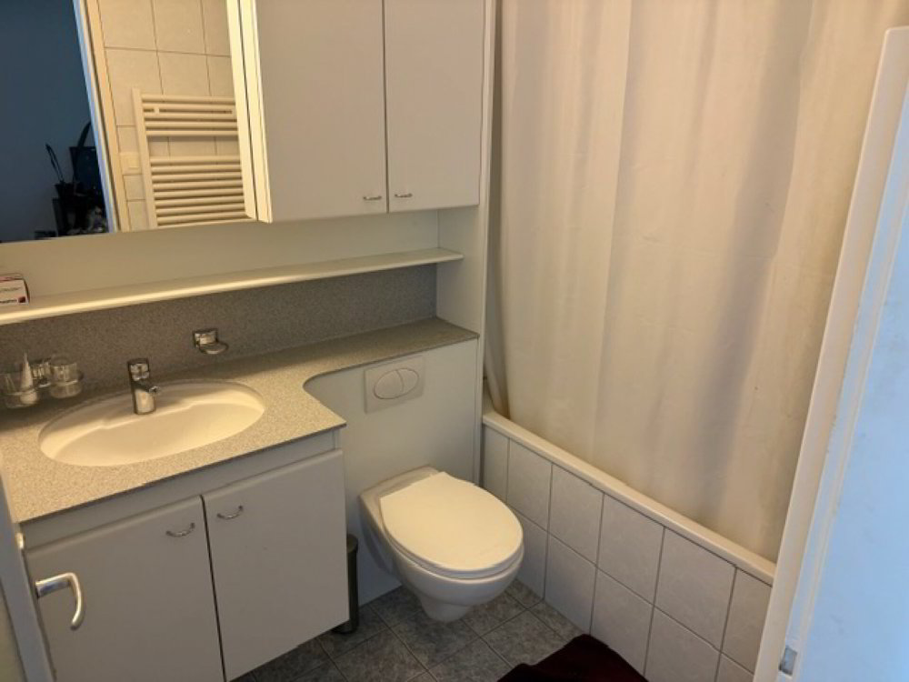 Wohnung – Emmenbrücke - Ansicht 3