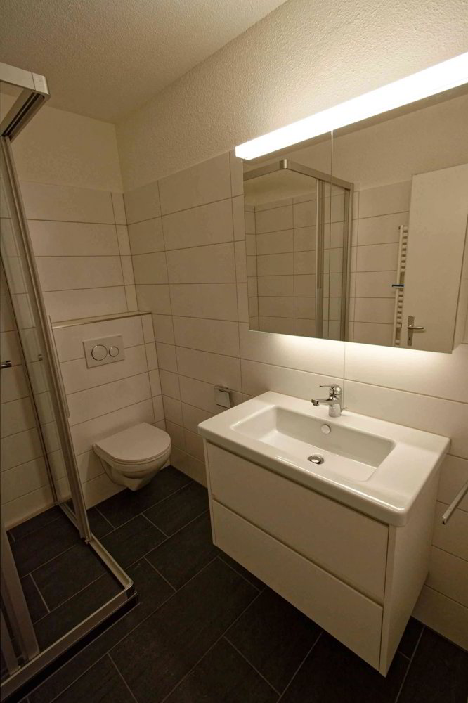Wohnung – Winterthur - Mehr