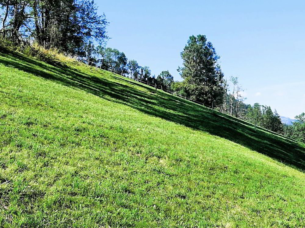 Bauland von 717 m² an sonniger Hanglage in Zweisimmen BE - Ansicht 2
