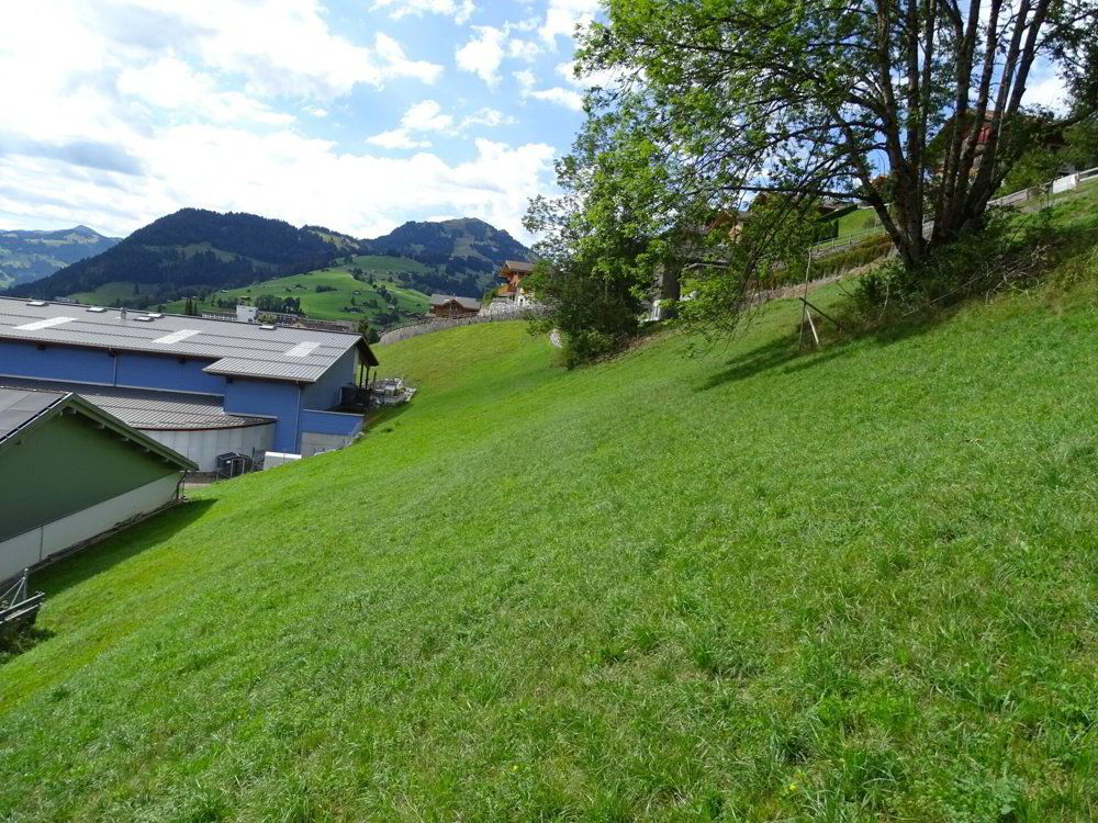 Bauland von 717 m² an sonniger Hanglage in Zweisimmen BE - Ansicht 3