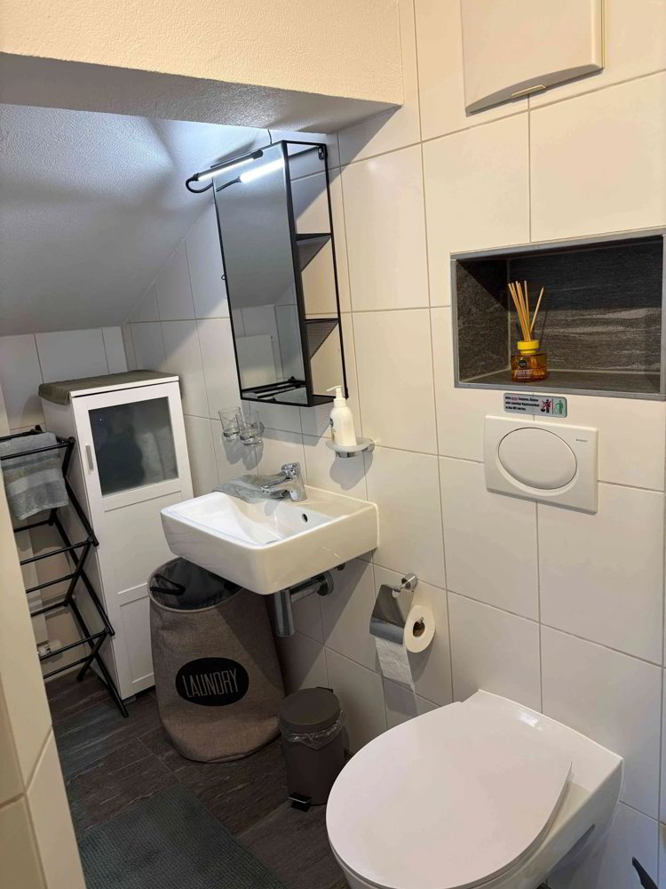 1.5 rooms Apartment for rent in Schluein - image 1/5