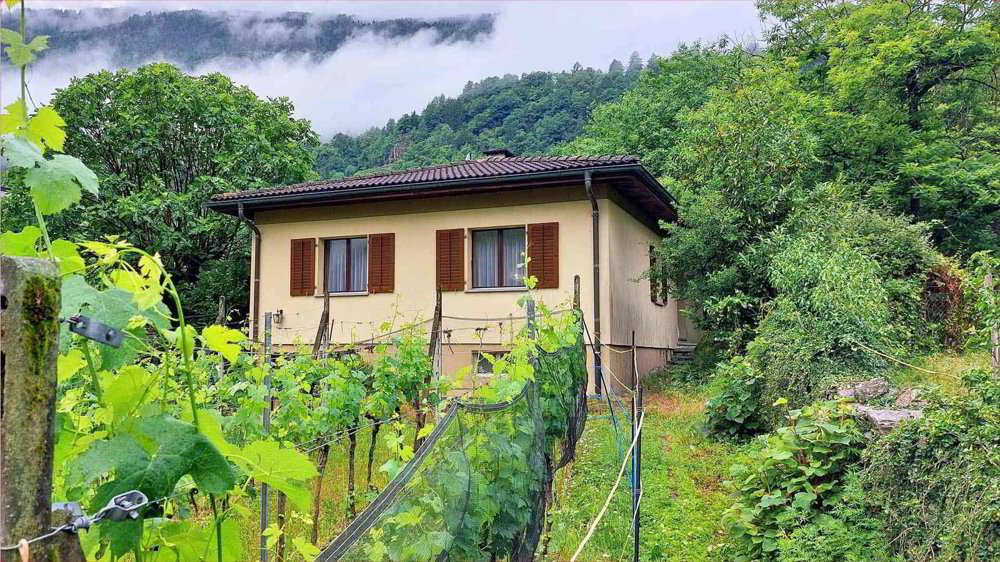 Haus – Ludiano - Ansicht 2