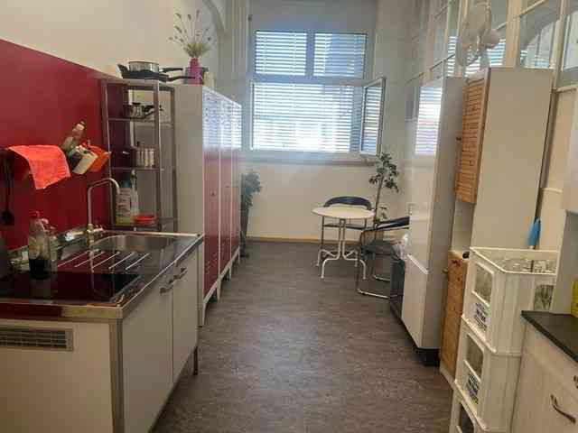 1 rooms Office & Commercial for rent in Rorschach - image 1/7