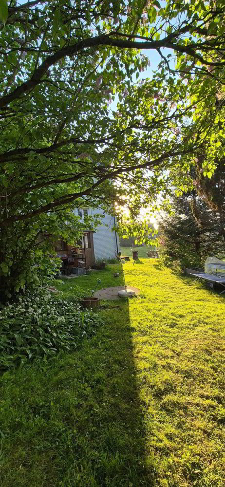 1 rooms Apartment for rent in Uznach - image 1/5
