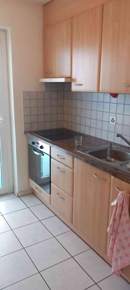 Appartement 2 pièces à louer à Schafisheim - image 1/8