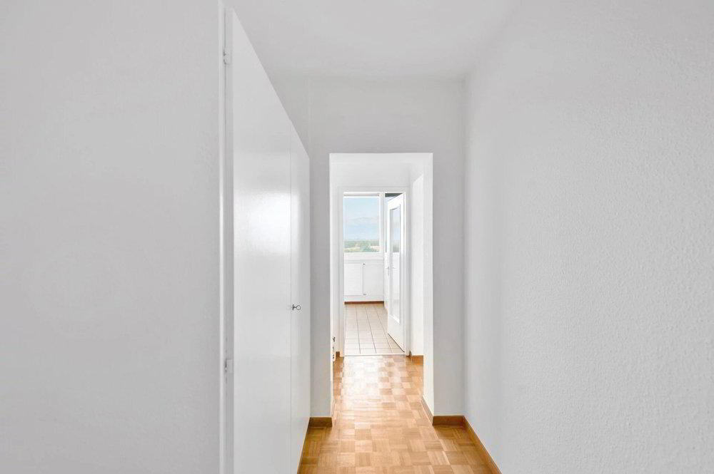 1 rooms Apartment for rent in Le Lignon - image 1/6