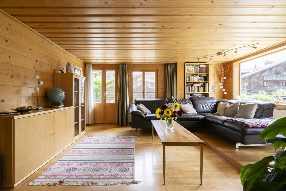 Haus – Zweisimmen - Ansicht 5