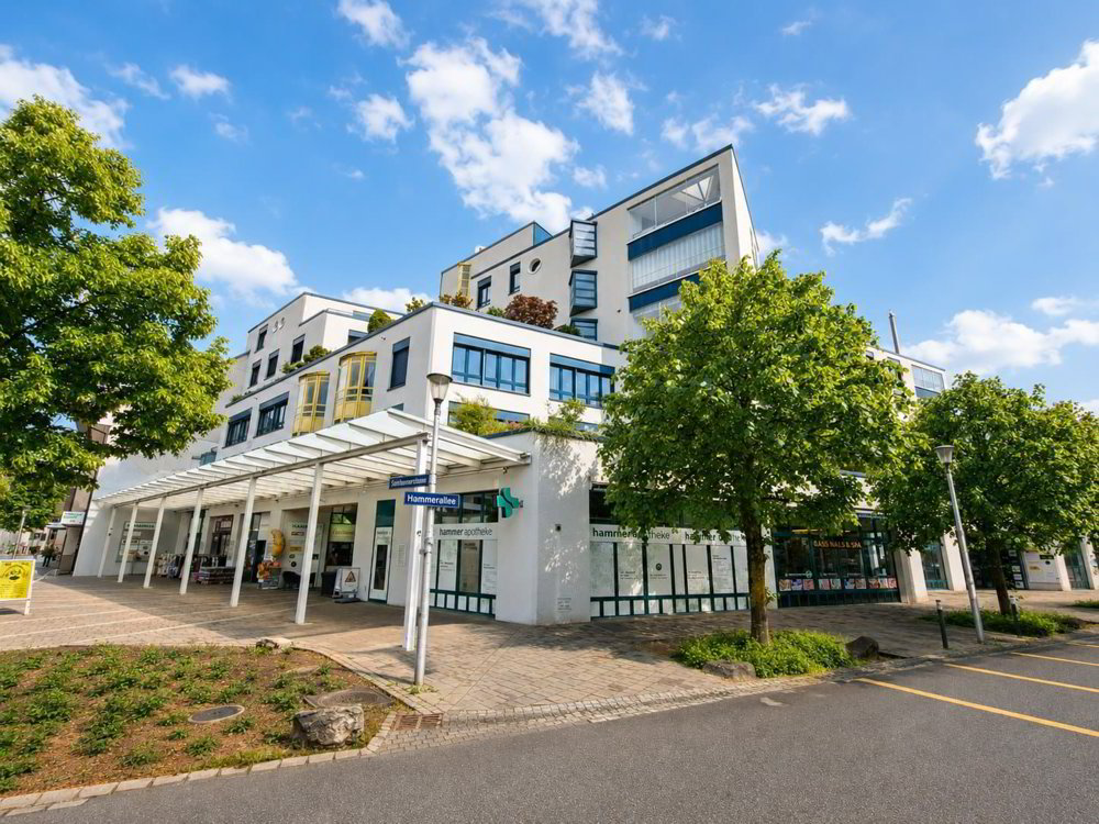 8.8% Rendite-Hit! Vollvermietetes Gewerbe im Zentrum von Olten zu verkaufen - Ansicht 3