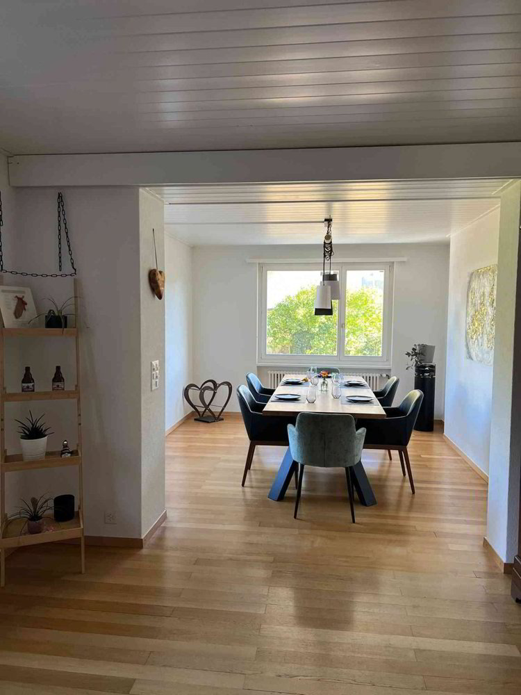 Haus – Aarau - Ansicht 5