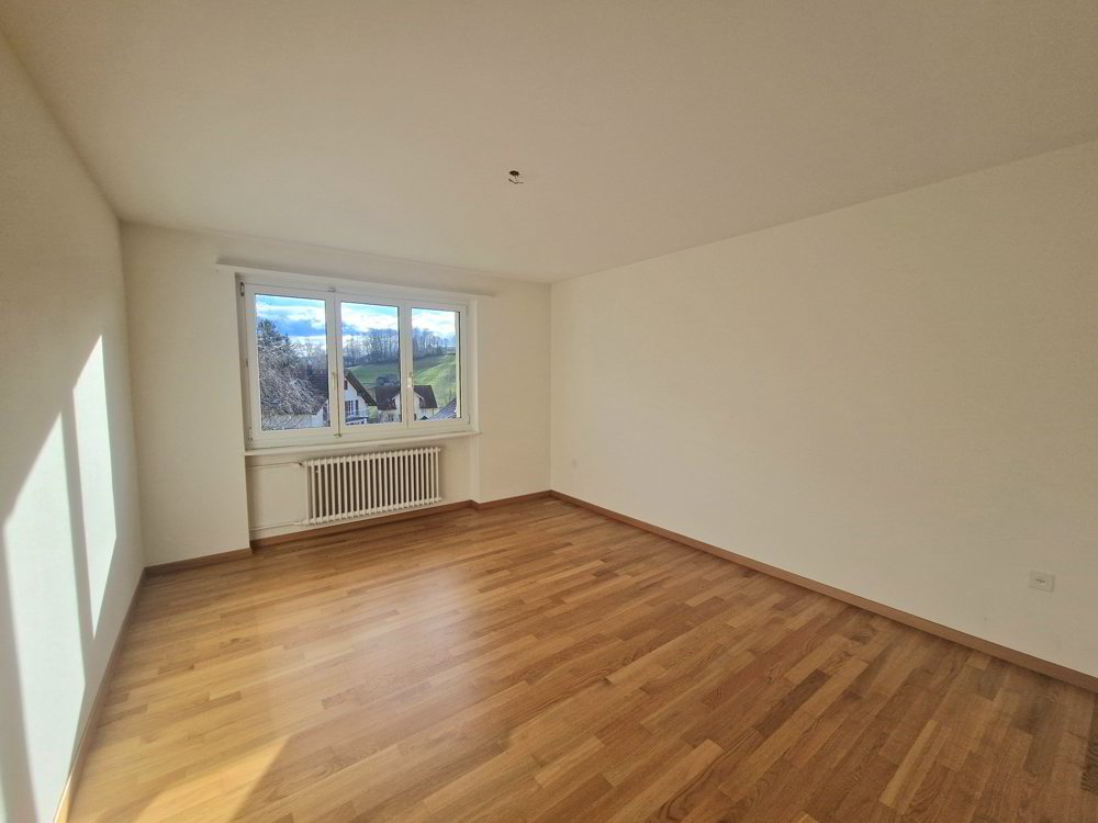 Wohnung – Niederteufen - Mehr