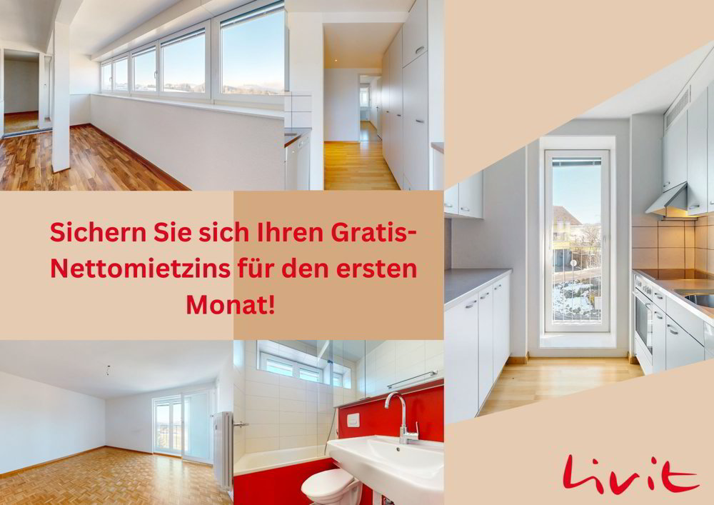 Wohnung – Lanzenhäusern - Ansicht 3