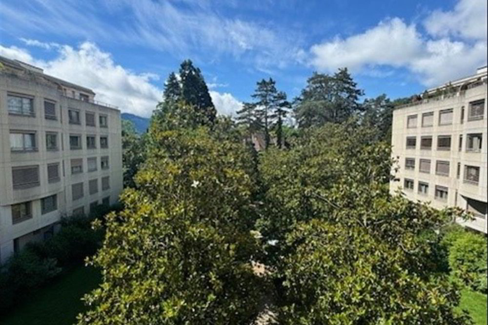 Appartamento di 4 locali in affitto a Genève - immagine 1/9