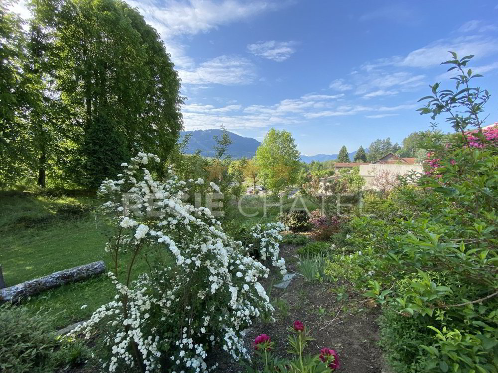 4 rooms Apartment for rent in Châtel-St-Denis - image 1/10