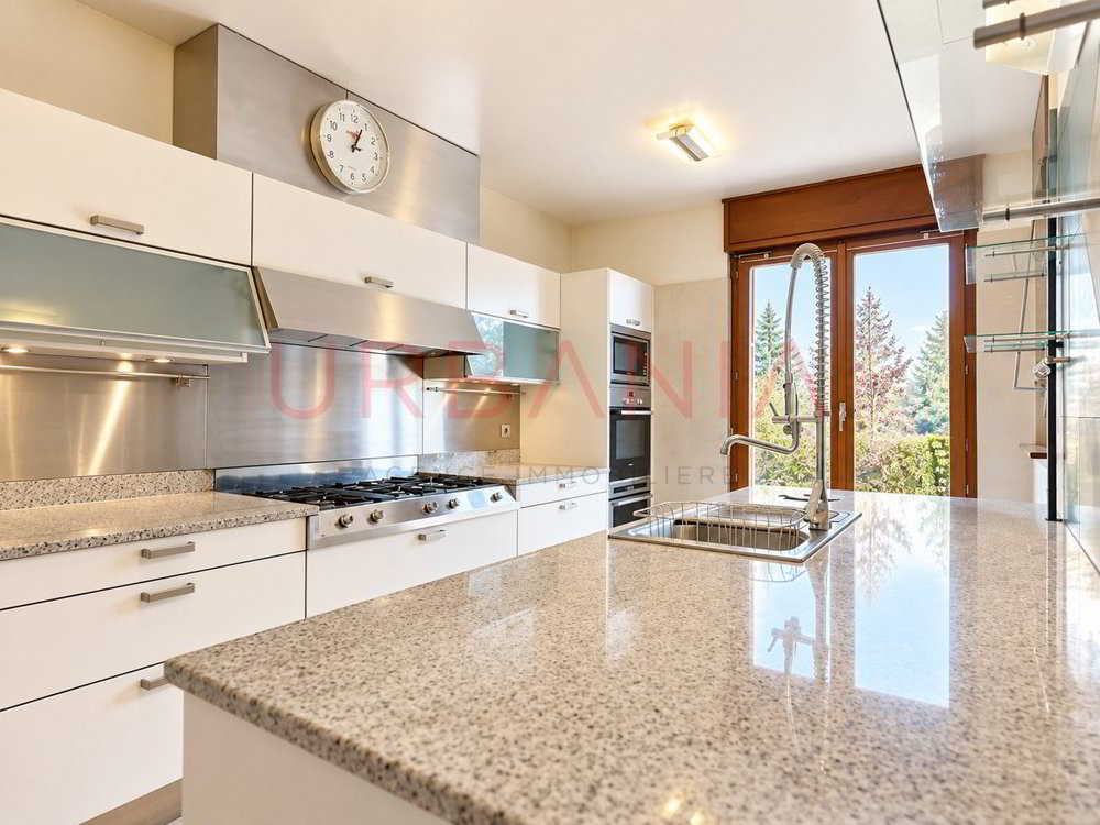 Casa di 11 locali in vendita a Petit-Lancy - immagine 1/5