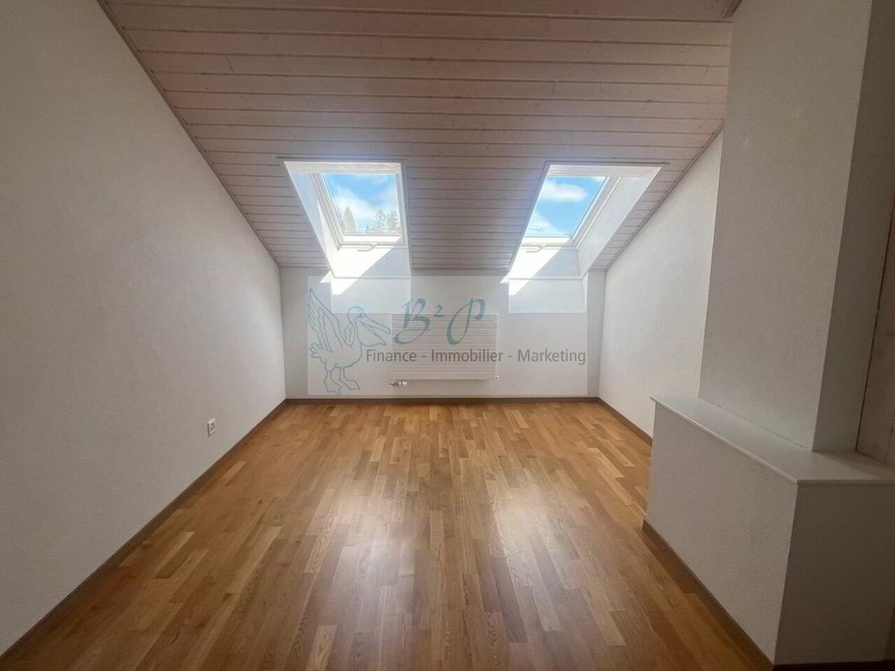 Wohnung – La Chaux-de-Fonds - Mehr