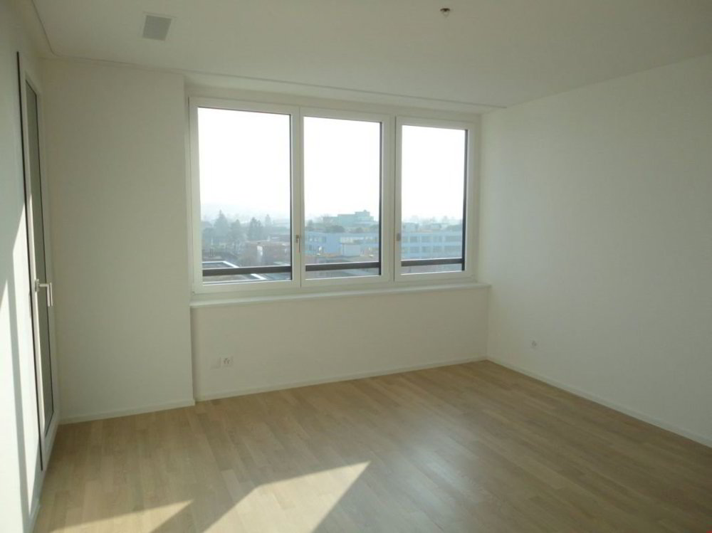 Wohnung – Allschwil - Ansicht 2