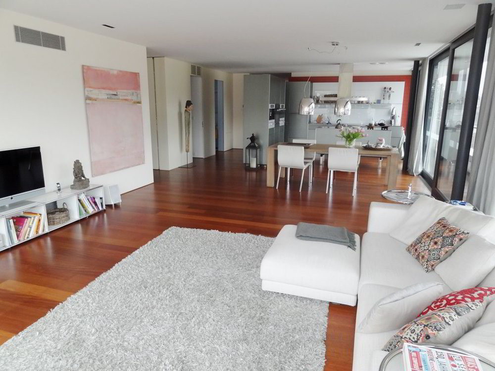 Wohnung – Schaffhausen - Ansicht 2