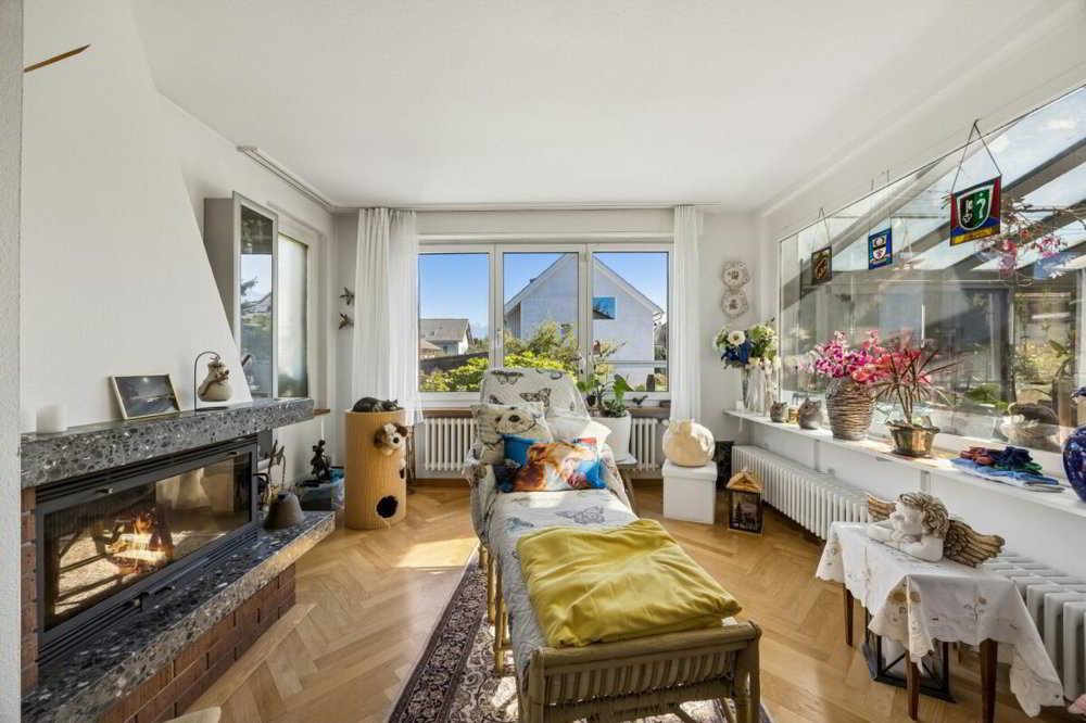 Haus – Thun - Ansicht 5