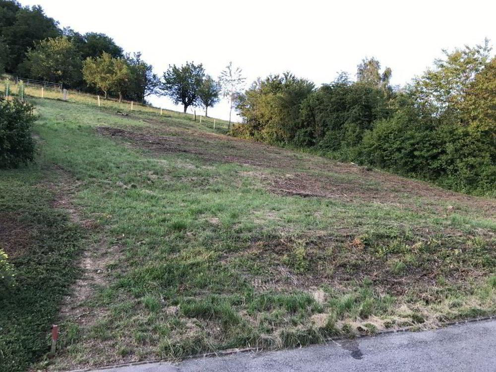 Attraktives Baugrundstück an sonniger Lage in Rothenfluh (BL) - Ansicht 4