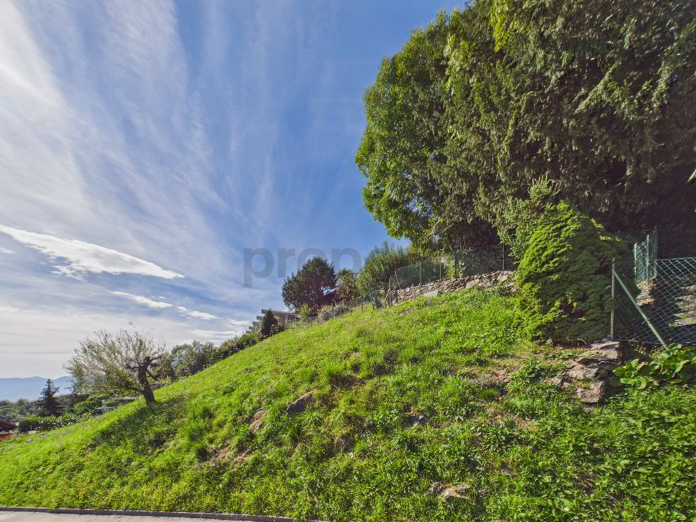Terreno edificabile vista lago Opportunità di sviluppo residenziale - Ansicht 5