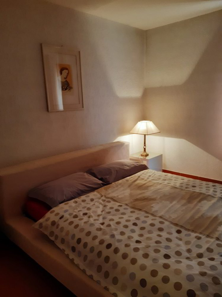 Wohnung – Agno - Ansicht 5
