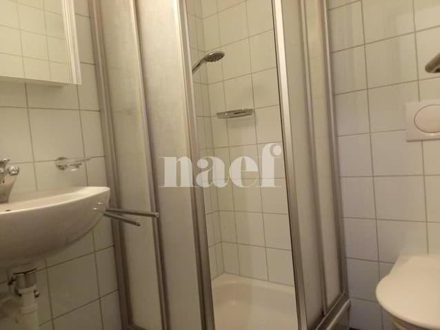 Appartamento di 4.5 locali in affitto a Neuchâtel - immagine 1/9