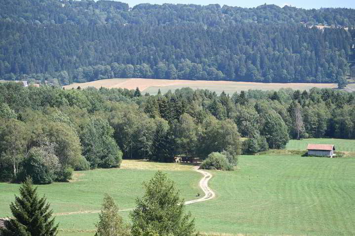 Wohnung – Les Ponts-de-Martel - Ansicht 2