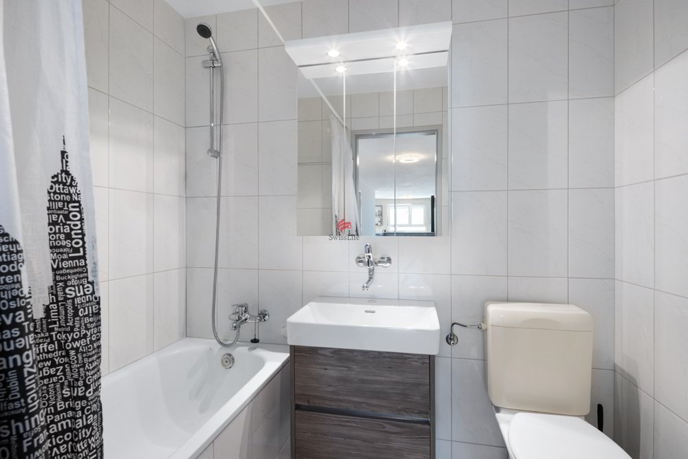 4 rooms Apartment to buy in Oberhasli - image 1/13