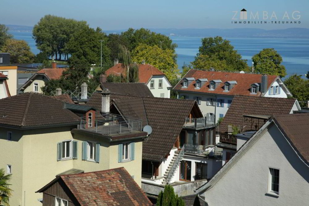 9 Zimmer Haus zum verkaufen in Arbon - Bild 1/13