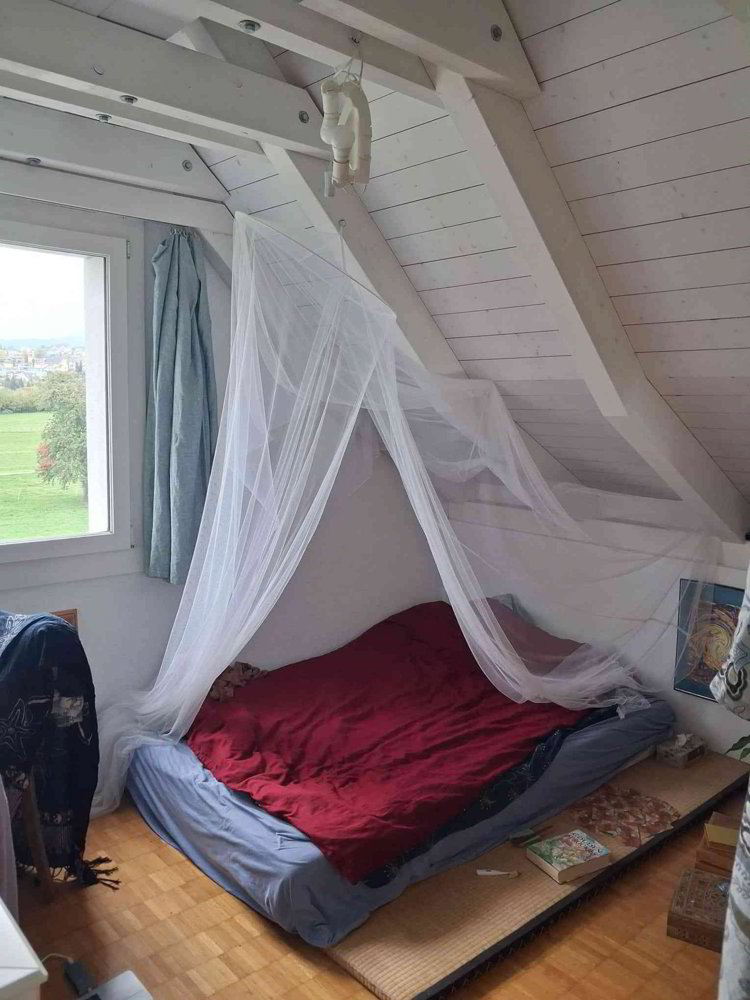 2 rooms Flat-sharing for rent in Stäfa - image 1/12