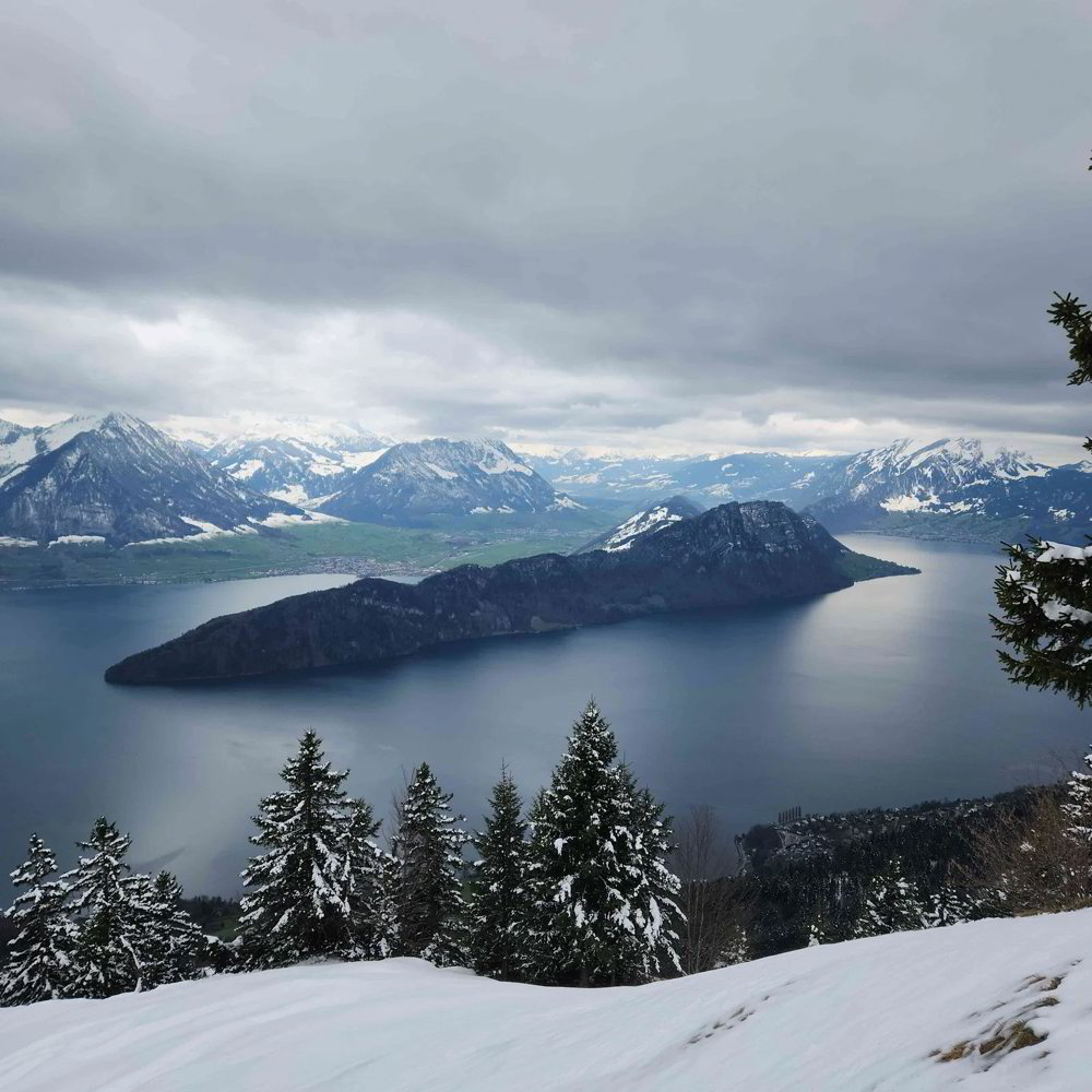 Appartamento di 1 locali in affitto a Rigi Kaltbad - immagine 1/13