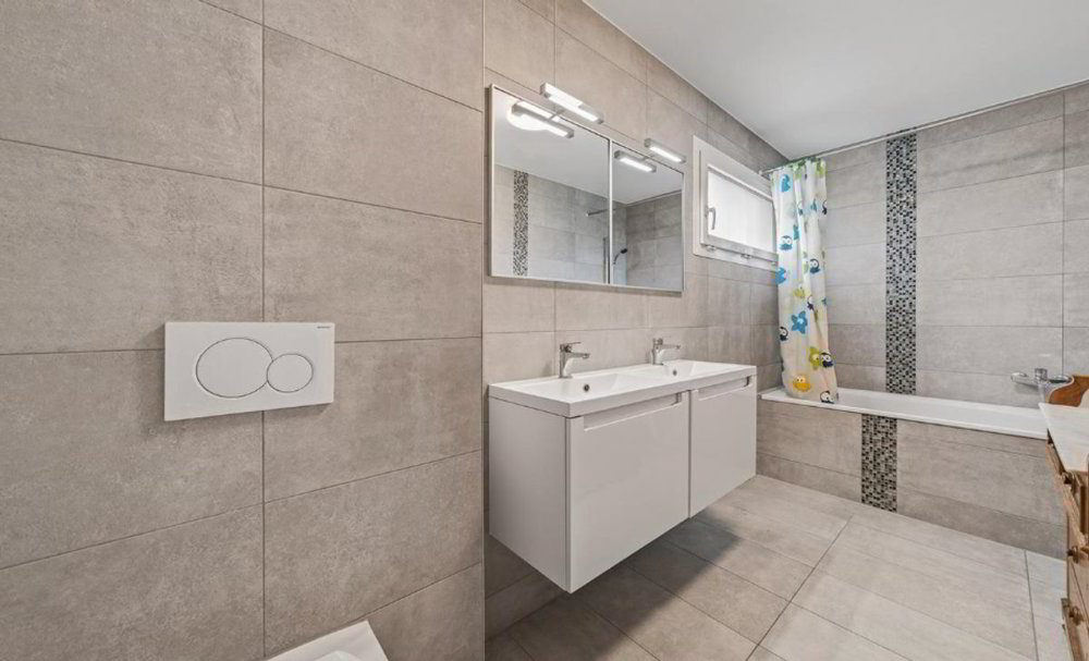 Casa di 5 locali in vendita a Carrouge VD - immagine 1/13