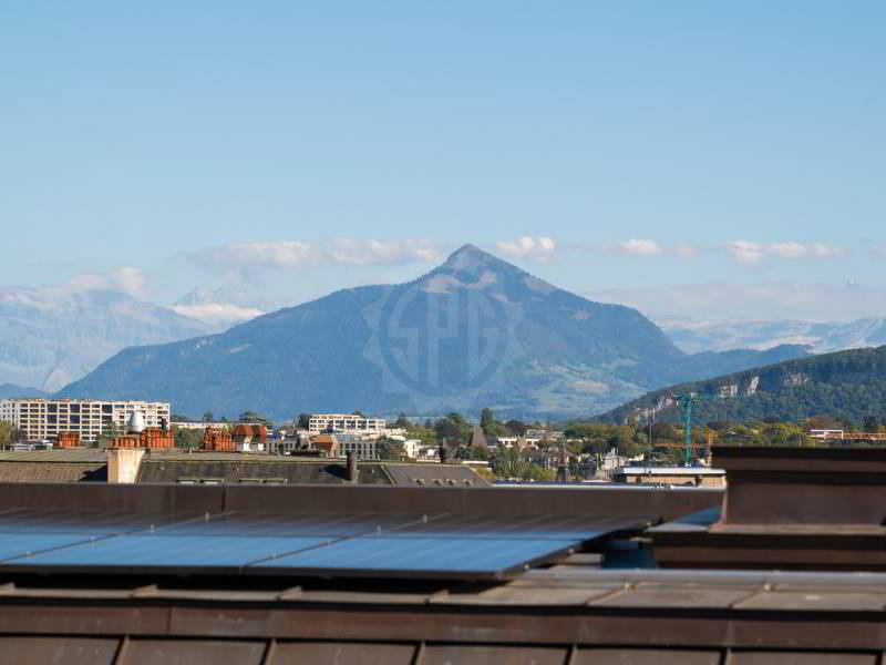 3 Zimmer Wohnung zu vermieten in Genève - Bild 1/11