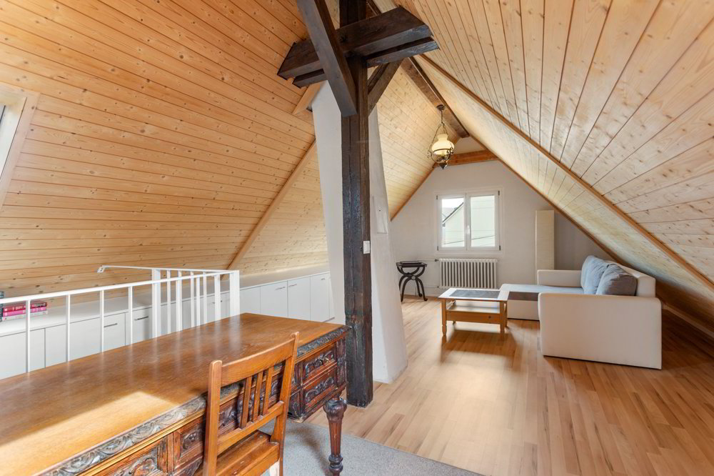 Haus – Feuerthalen - Ansicht 5