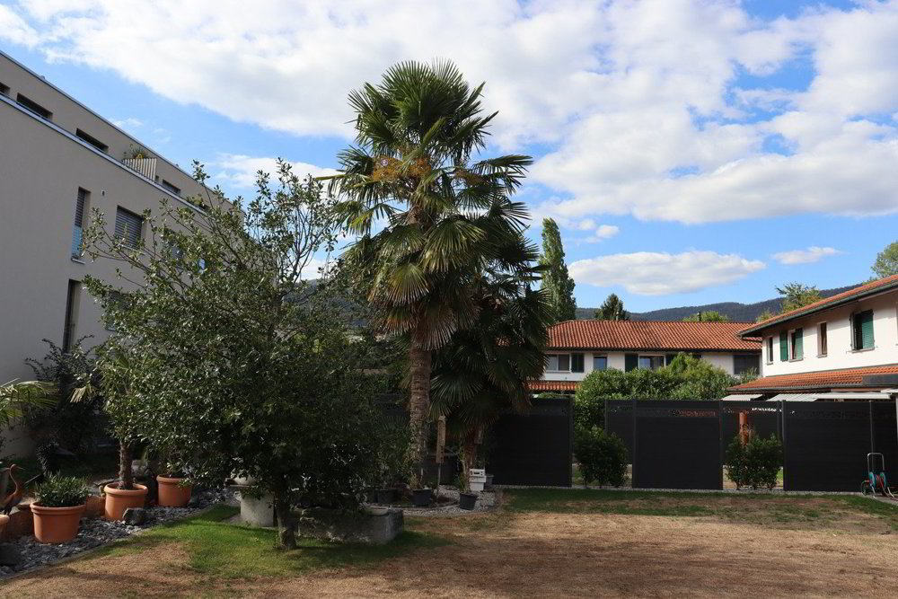 Haus – Kappel SO - Ansicht 2