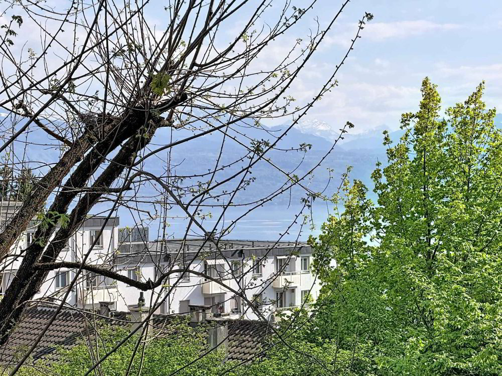 Bel appartement dans un quartier calme de Lausanne