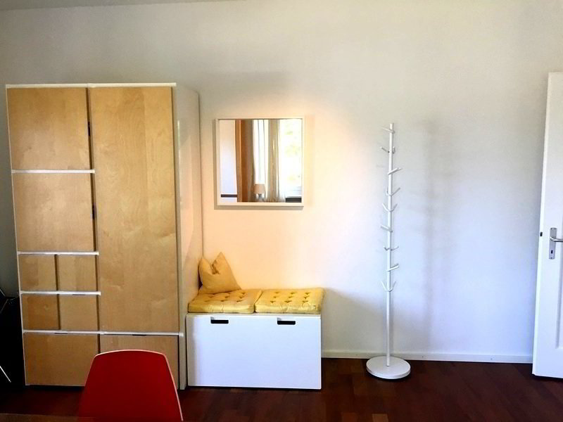 1 rooms Apartment for rent in Liestal - image 1/10