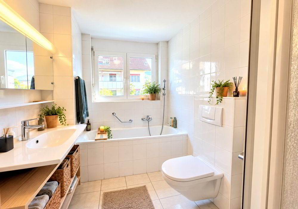 Wohnung – Frick - Mehr