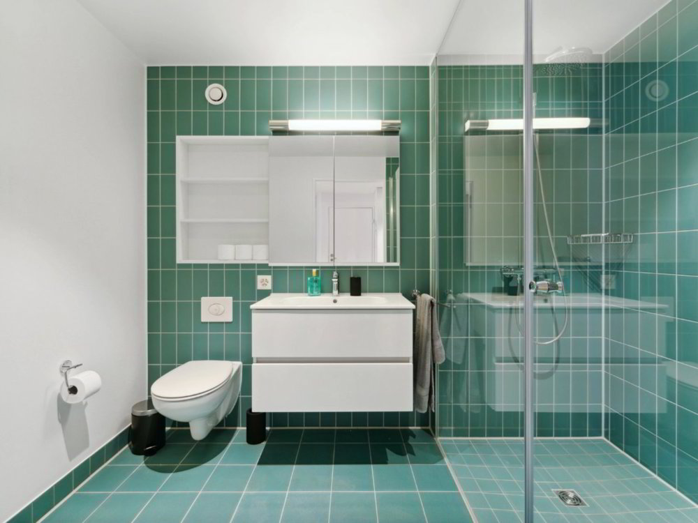 Wohnung – Münchenstein - Ansicht 4